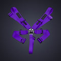 Racing Harness (Comp Spec/5-Point)